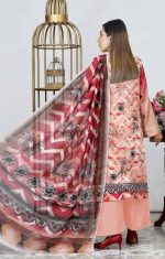 HANIA ASNA BY RANJHNI HA-BR-206 - Image 4