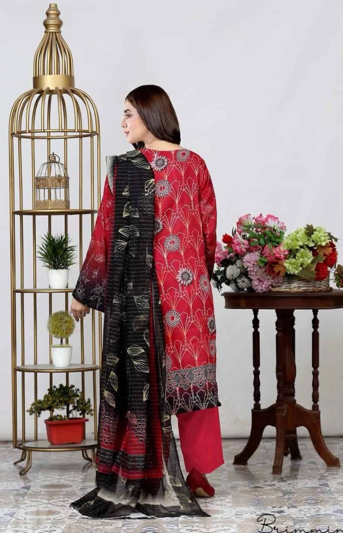 HANIA ASNA BY RANJHNI HA-BR-208 - Image 4