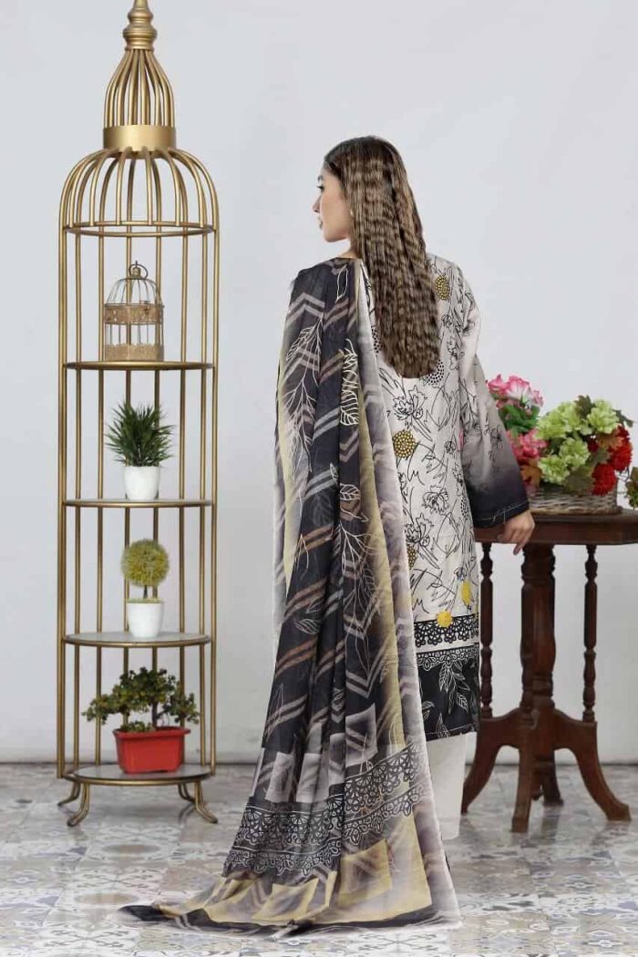 HANIA ASNA BY RANJHNI HA-BR-209 - Image 4