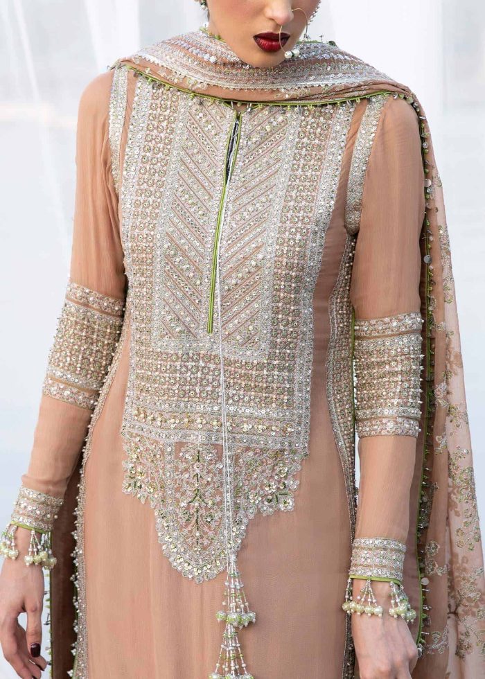 HUSSAIN REHAR-AABROO - Image 4