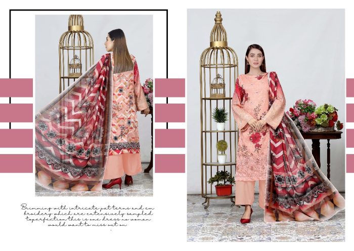 HANIA ASNA BY RANJHNI HA-BR-206 - Image 3