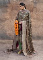HUSSAIN REHAR—Zeenat - Image 2
